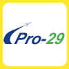 Pro29 Motor Hardware